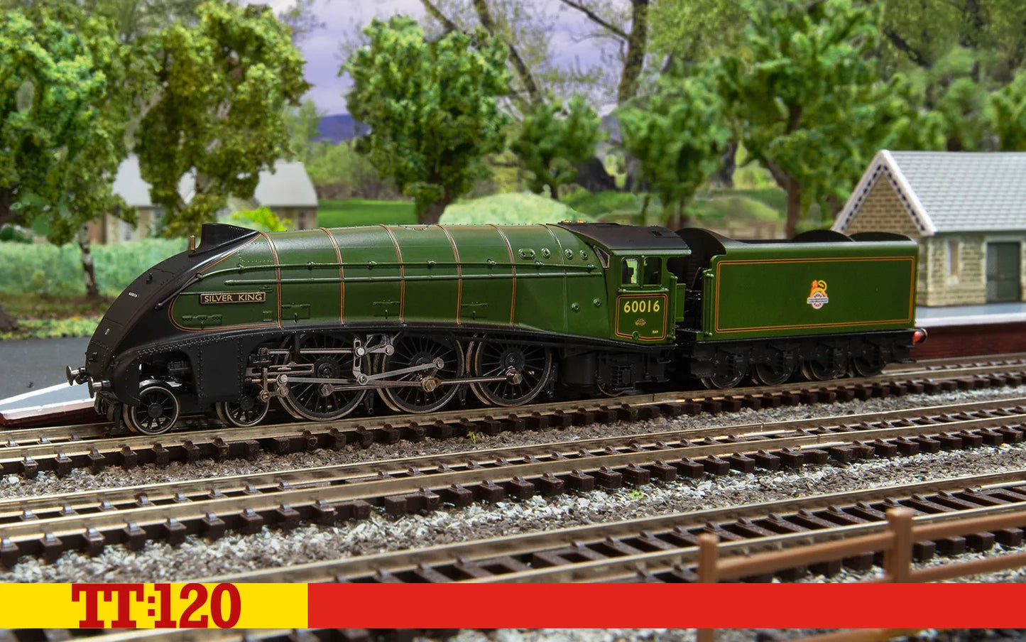 Hornby TT3008M BR Class A4 4-6-2 60016 'Silver King' - Era 4